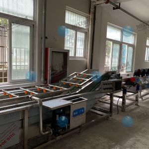果蔬氣泡清洗機(jī)風(fēng)干流水線多少錢？