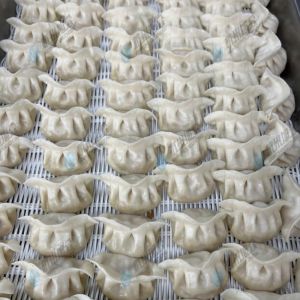 JGB-10型一體式餃子機(jī)現(xiàn)場試機(jī)，效果棒棒噠！！！！